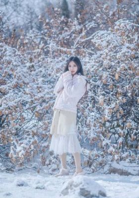 风月无边电视剧